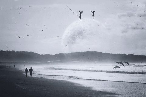 water, beach, sea, shore, sand, animal themes, wave, leisure activity, horizon over water, lifestyles, silhouette, bird, men, nature, sky, surf, motion, unrecognizable person, beauty in nature