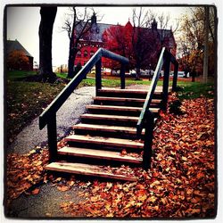 Wooden bench in park