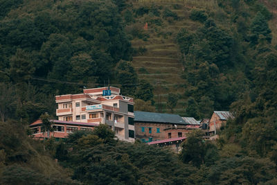 High angle view of trees and buildings in forest