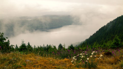 Scenic view of mountains against sky