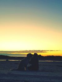 Silhouette person with dog sitting at beach against sky during sunset