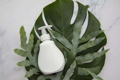 High angle view of water bottle against white background