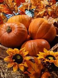 Close-up of pumpkins