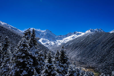 Scenic view of snowcapped mountains against clear blue sky