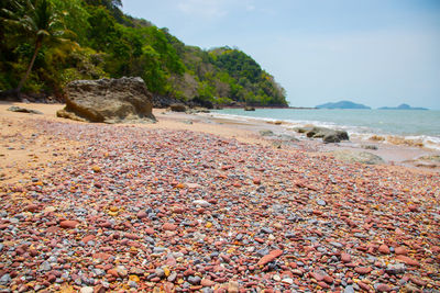 Surface level of rocks on beach against sky