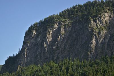 Low angle view of trees on mountain against sky