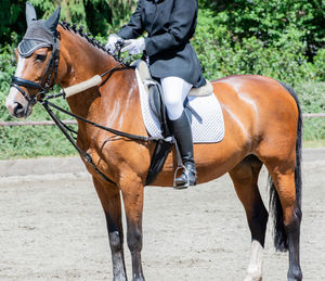 Man riding horse