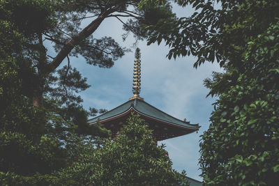 Low angle view of trees and building against sky