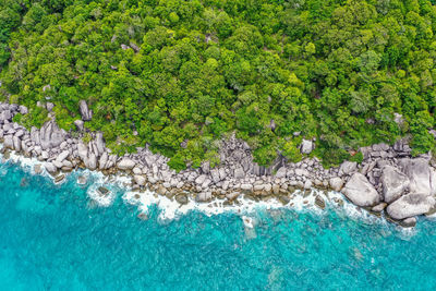 View of trees by sea