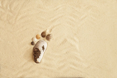 High angle view of stuffed toy on sand