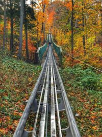 Railroad track in forest during autumn
