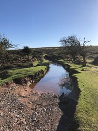 Scenic view of lake against clear blue sky