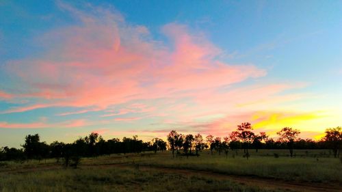 Silhouette trees on field against sky at sunset