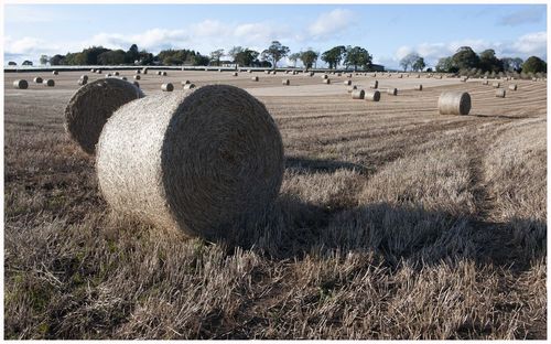 Hay bales on field against sky