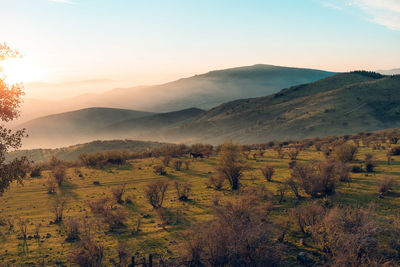 Scenic view of landscape against sky during sunset