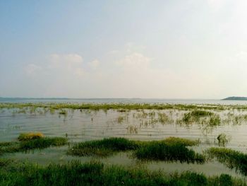 Scenic view of landscape against sky