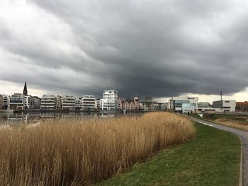 Panoramic shot of field against sky