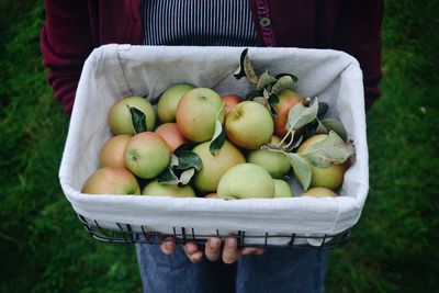 Midsection of woman holding apples in container