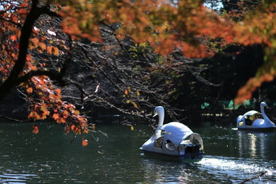 Boat in a lake