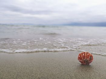 Close-up of ball on beach against sky