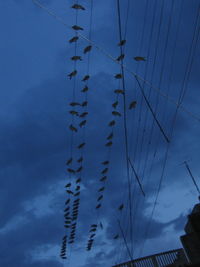 Low angle view of silhouette birds flying against sky