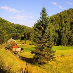 Scenic view of grassy field against sky