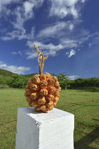 Close-up of cemetery on field against sky