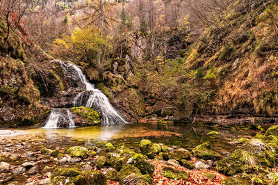 Scenic view of waterfall in forest