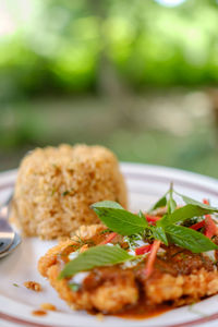 Close-up of served food in plate