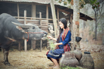 Young woman feeding cow on field