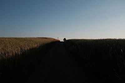 View of road amidst grassy field against clear sky during sunset