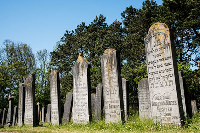 Trees growing in cemetery against sky