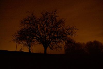 Silhouette bare tree on field against sky at sunset