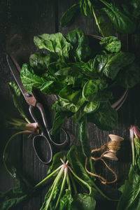 High angle view of vegetables