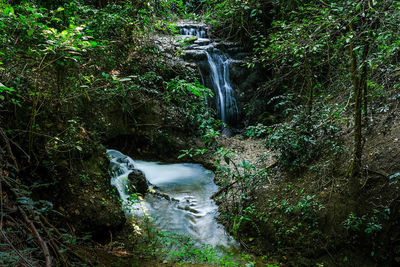 Stream flowing through rocks in forest