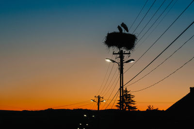 Low angle view of silhouette of stork bird in nest on electricity pylon against sky during sunset