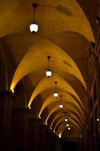 Illuminated pendant lights hanging from ribbed vault ceiling in church