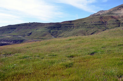 Scenic view of field against sky