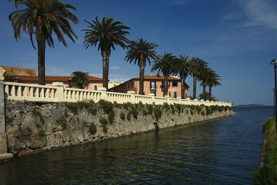 Palm trees by sea against sky