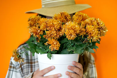 Close-up of potted plant on table