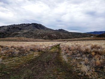 Scenic view of field against sky