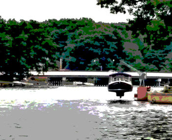 Reflection of trees in water