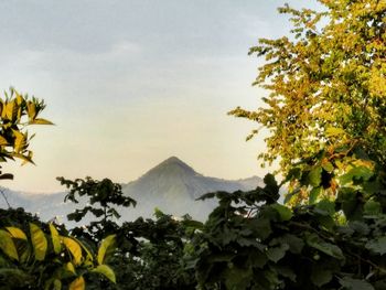 Scenic view of tree mountains against sky