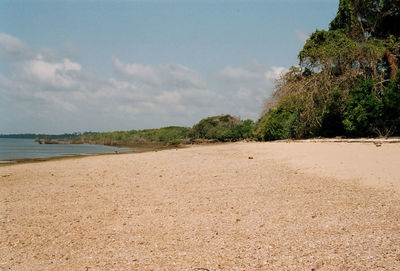 Scenic view of beach against sky