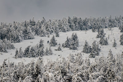 High angle view of snow covered trees on land against sky