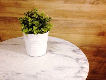 Close-up of potted plant on table