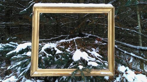 Close-up of snowflakes on window