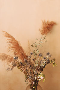 Close-up of wilted plant against sky