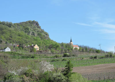 Trees and houses on field against sky