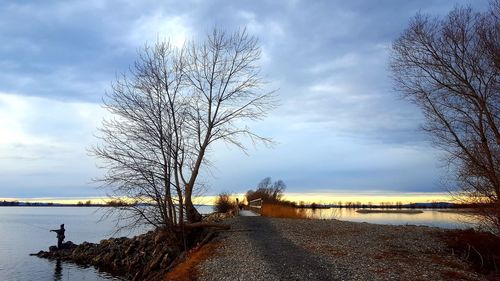 Bare trees on landscape against sky